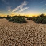 Indemnisation dommages sécheresse