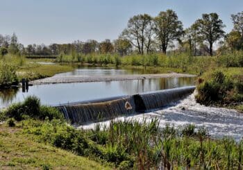 La réutilisation des eaux usées, et si on en parlait ?