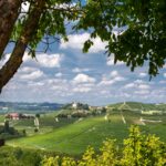 Études de Sol dans l’Est de la France