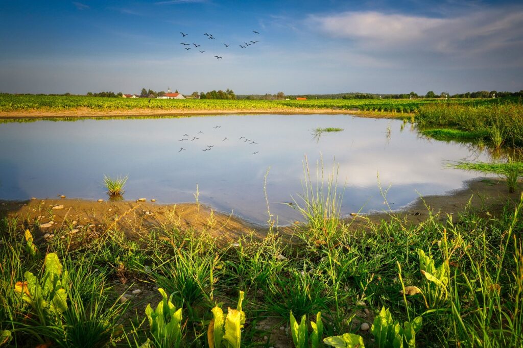 Gestion des eaux pluviales et hydrologie